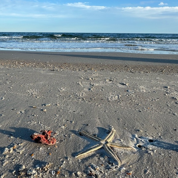 CC @SpaBloomFlow is LIVE Wednesdays &/or Saturdays - Picture 8 of 14